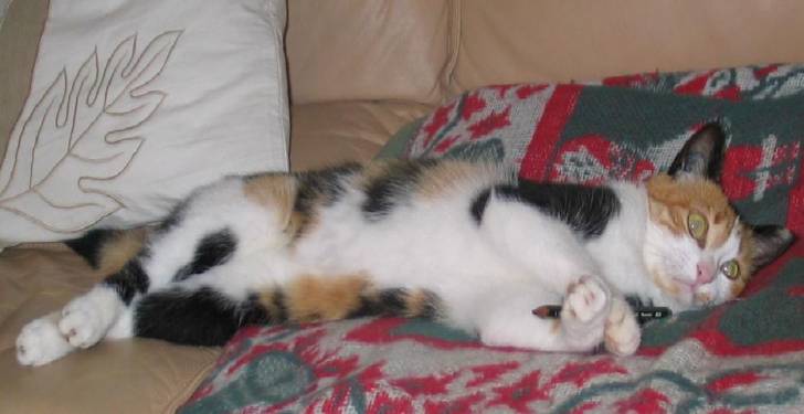 Encore ma petite Bulle -