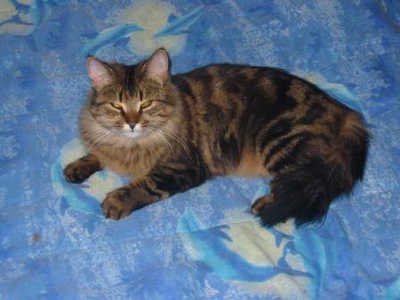Molly -