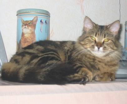 Molly -