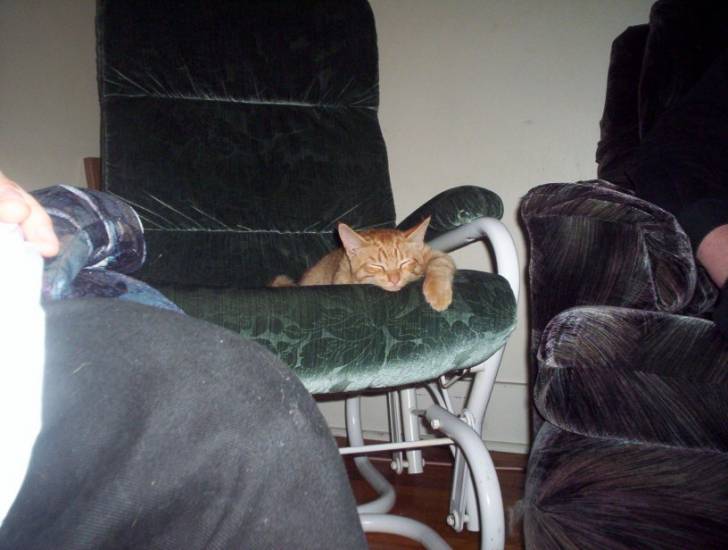 mon ti cul -