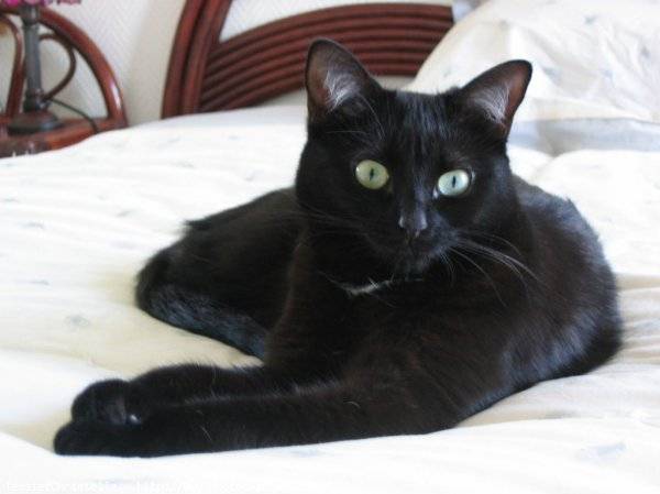 Tessie ! -