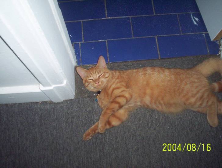 minet -