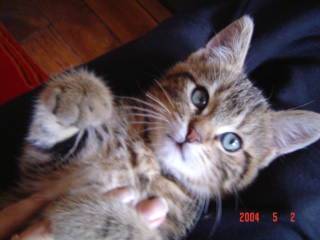 beaux yeux -