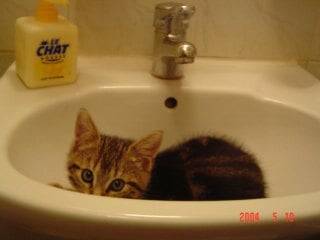 presque caché! -