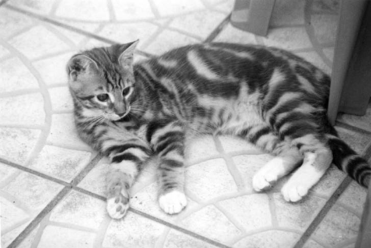 Titi relaxe ..... -