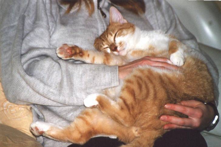Filou fait un calin à sa maman -