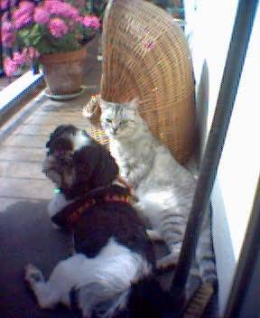Lola et Timy -