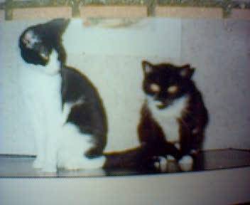 Charlotte et Clio -