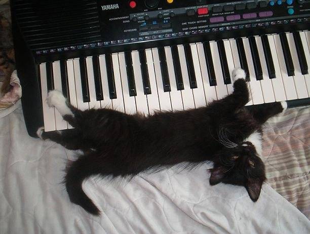 Future pianiste -