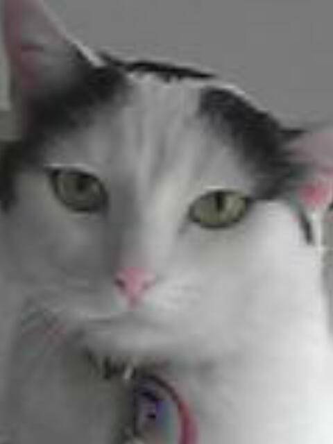 moi, j'aime prendre la pose!!!!! -