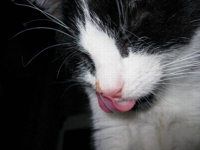 Mmm ... -
