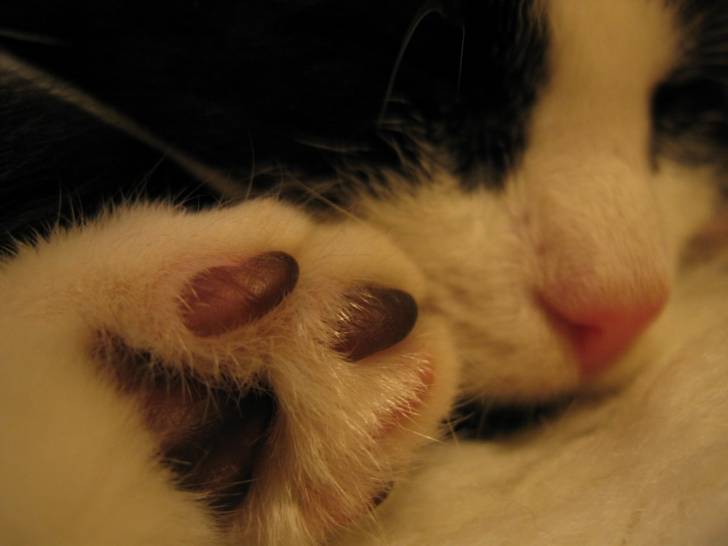 Zzzz -
