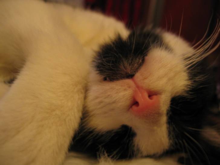 Zzz -