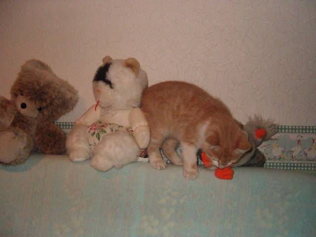 velours c'est qui la peluche -