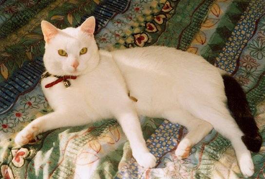 Léo -