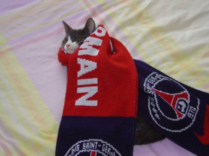 Une surportrice du PSG -