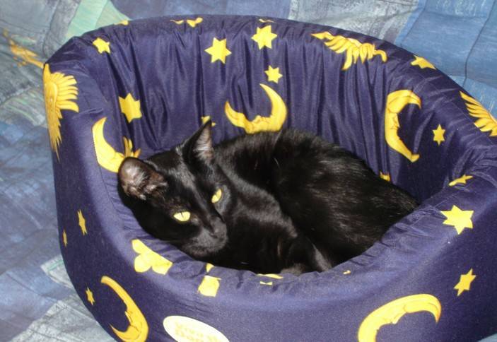 Maya se repose -