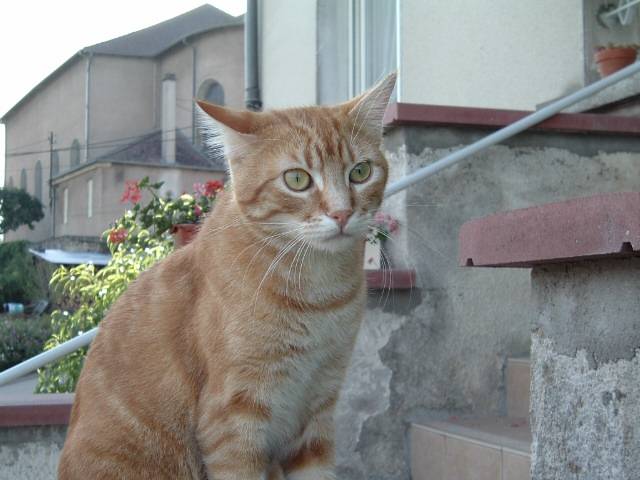 mon titi -