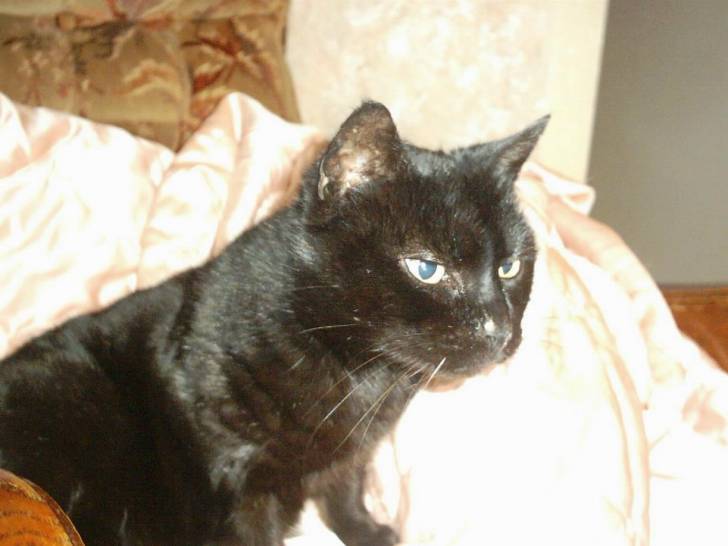Ma minette encore -
