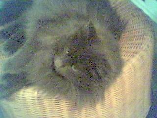 charlotte!sur son pouf -