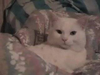 ma p'tite perle -