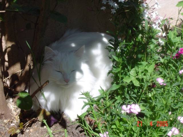je me repose -