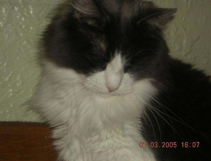 mimine -