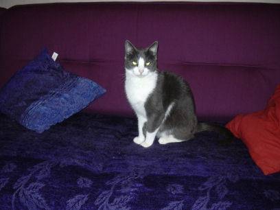 Monia disparue trop tot -