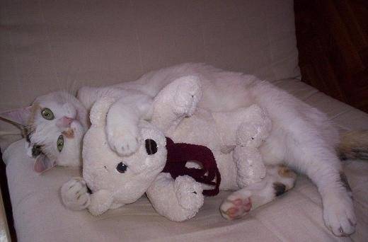 Caline et son nounours -