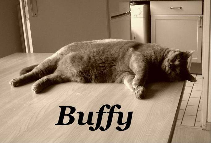 BUFFY -
