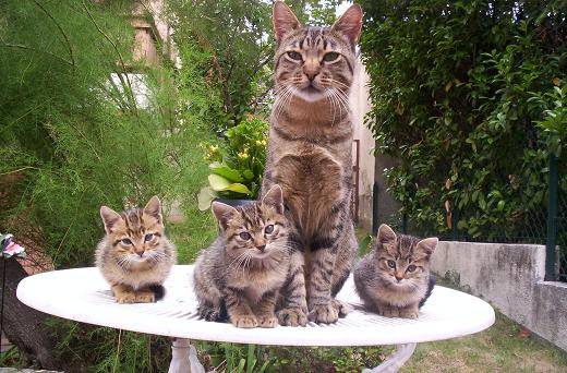 portrait de famille -