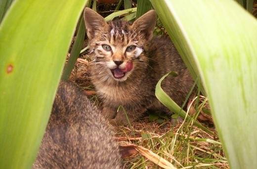 il est bon le yaourt!!! -