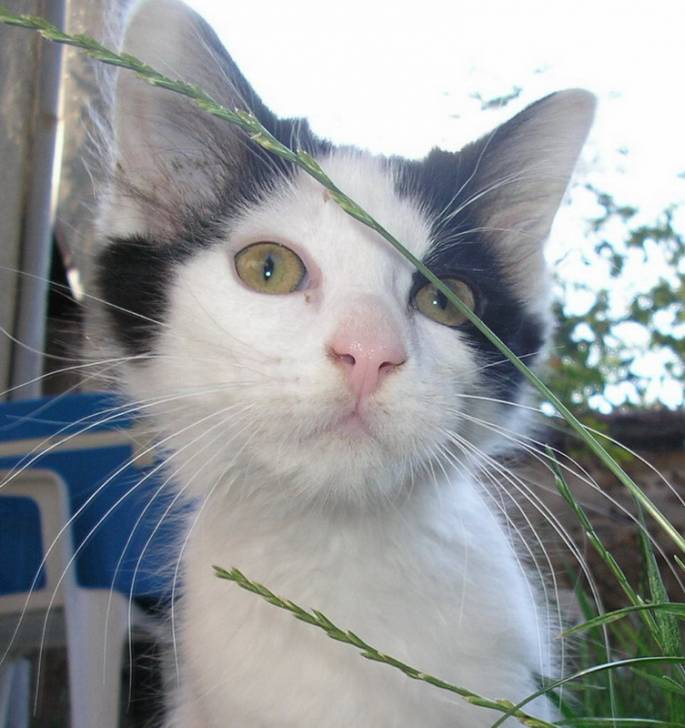 Jade découvre la nature -