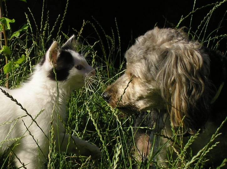 Une rencontre cordiale -