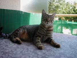 Pingping top beau gosse ! -