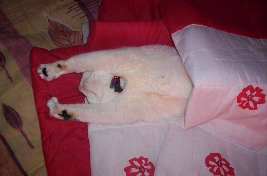 il est bon de dormir!!! -