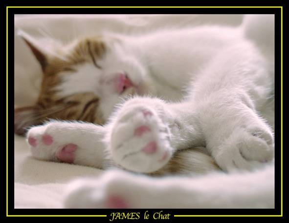 james -