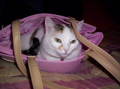 DANS LE SAC... -