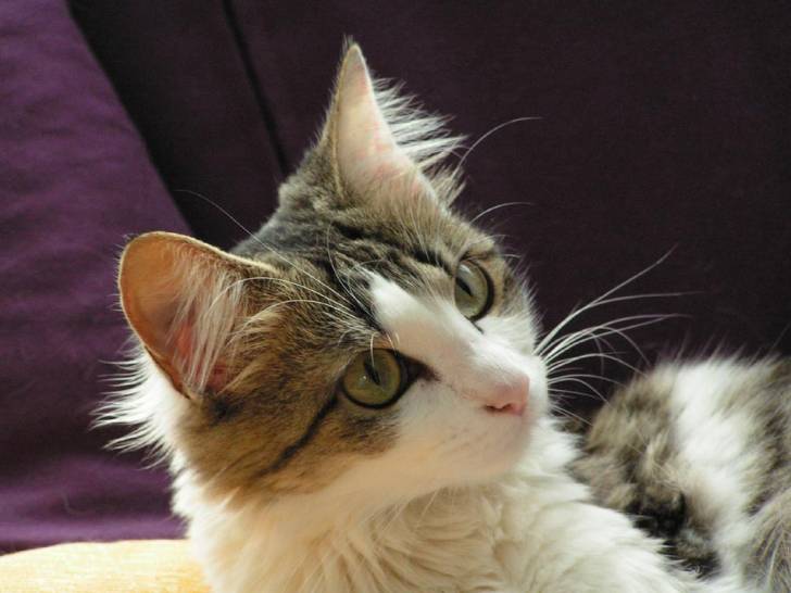 what? -