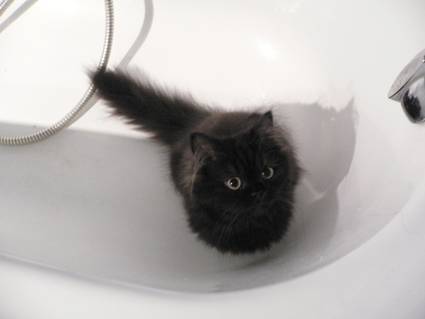 arnak dans la baignoire -
