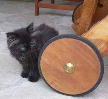arnak et la roue géante -