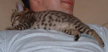 Pastis fait un gros calin -