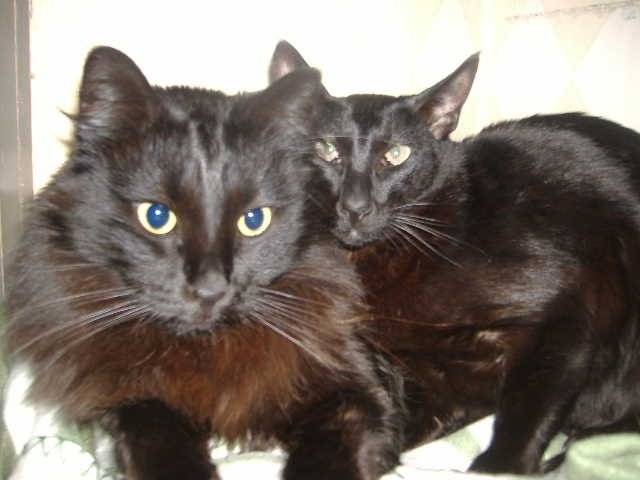 Tommy & Rwendy -