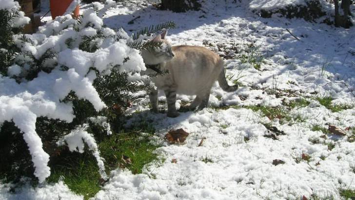 Dans la neige!!! -
