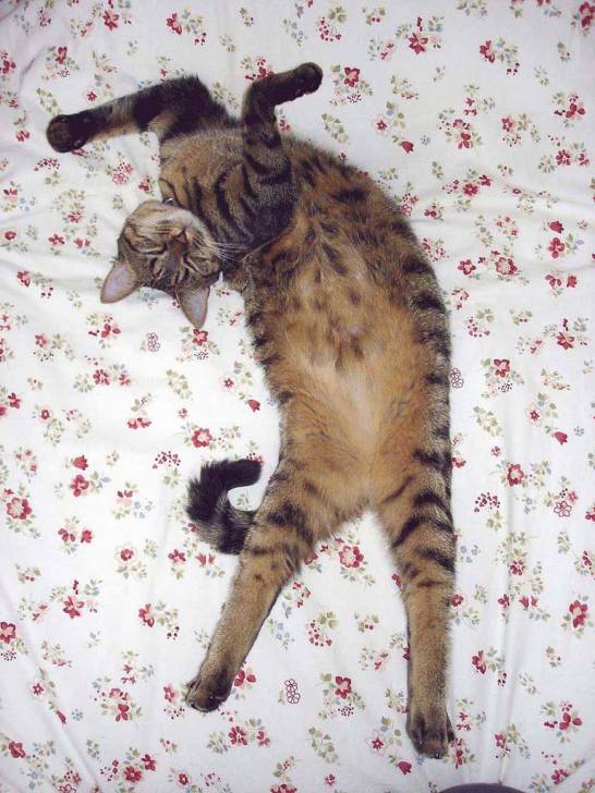 Zoé, 10 mois - (10 mois)