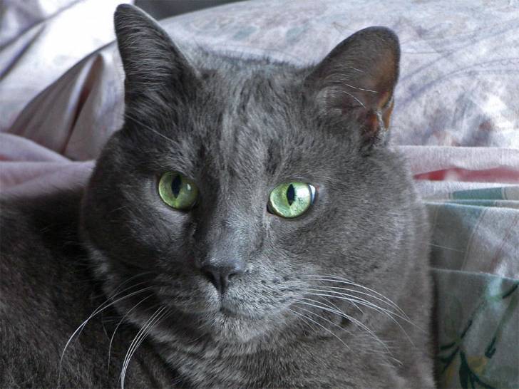 Gaston, 12 ans - (12 ans)