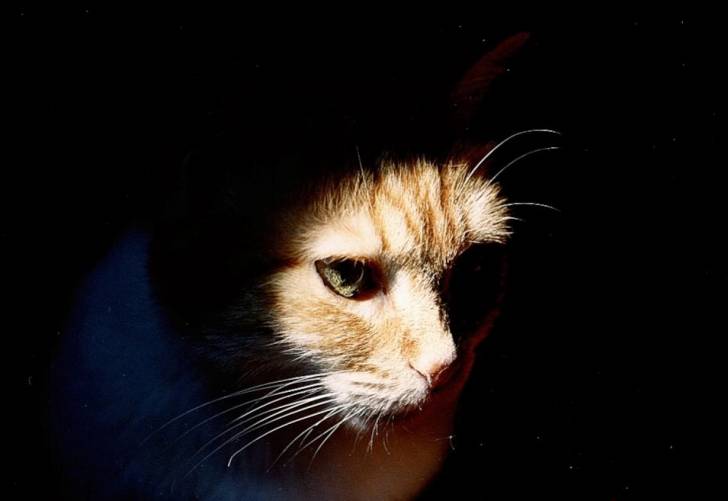 Kimie (née en 1996)_Levée du Jour -