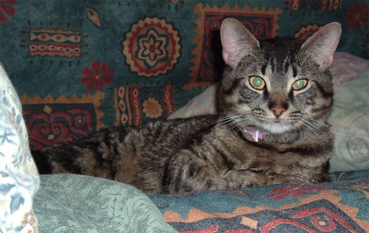 voici bacchus! -