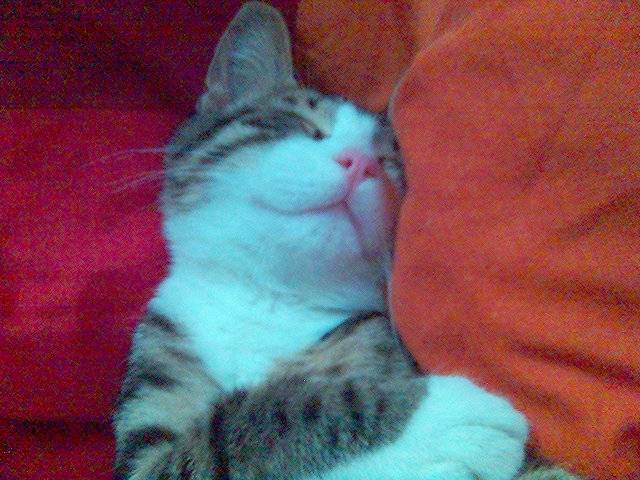 charlie -
