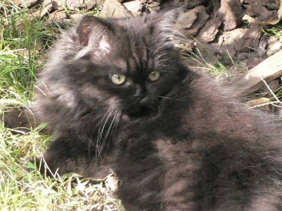 arnak prend le soleil -